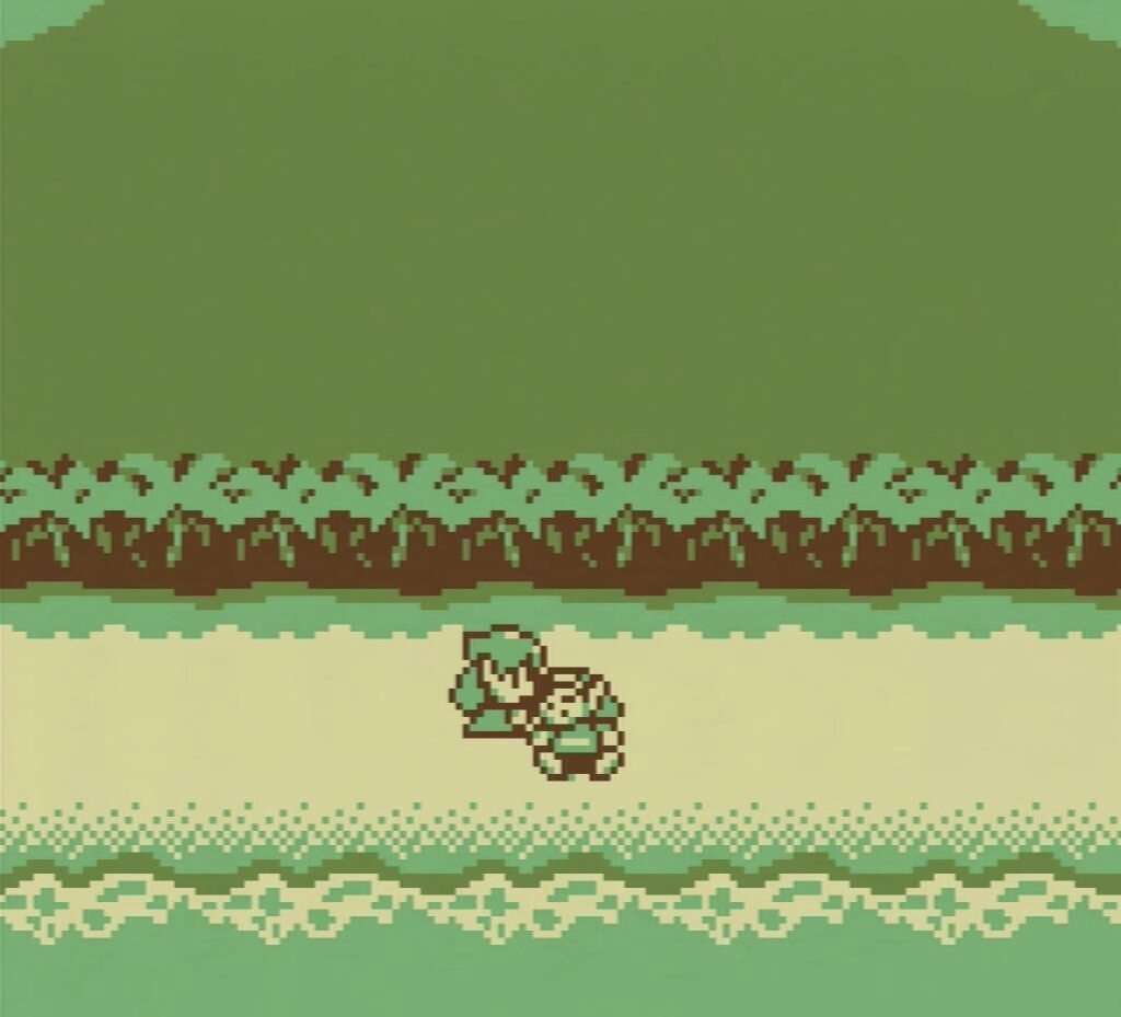 Links Awakening